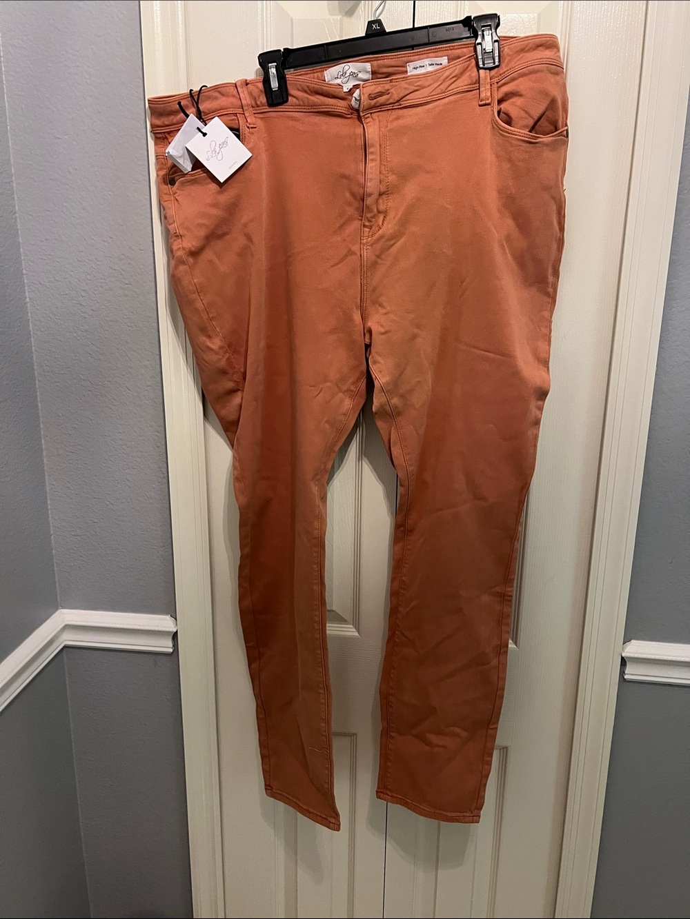 Women’s Straight-Leg Pants in Rust Orange